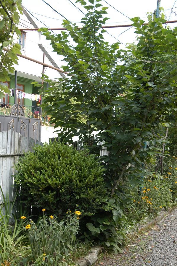 Guest House Barbi バトゥーミ エクステリア 写真